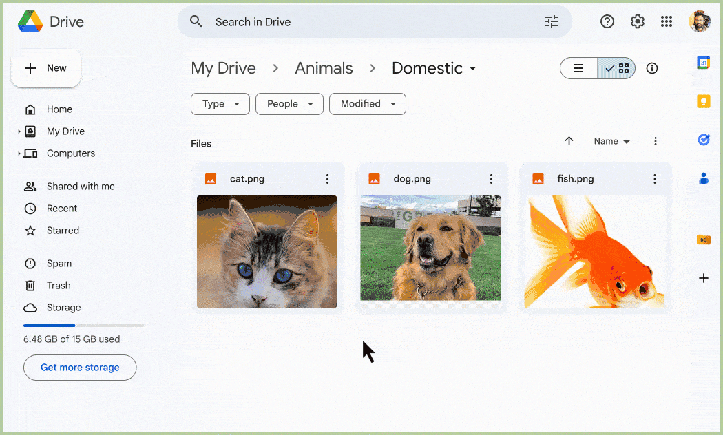 drive explorer fetching file details in google drive side panel